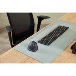 Fellowes® Optische PC Maus Breyta™ Plus+