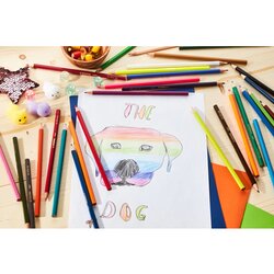 STABILO® Buntstift color Kartonetui 24 St./Pack.