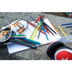 STABILO® Buntstift color Kartonetui 24 St./Pack.