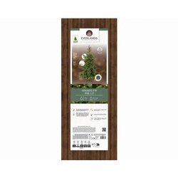 EVERLANDS Weihnachtsbaum Grandis Fir mit Beleuchtung 111 x 150 cm (Ø x H)