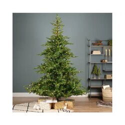 EVERLANDS Weihnachtsbaum Grandis Fir mit Beleuchtung 150 x 210 cm (Ø x H)