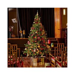 EVERLANDS Weihnachtsbaum Grandis Fir mit Beleuchtung 150 x 210 cm (Ø x H)