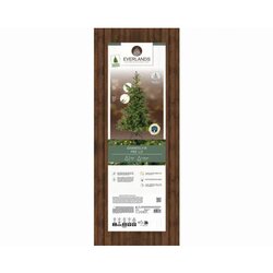 EVERLANDS Weihnachtsbaum Grandis Fir mit Beleuchtung 132 x 180 cm (Ø x H)