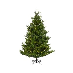 EVERLANDS 670194 EVERLANDS Nordmann Tanne LED 150x210cm