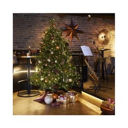 EVERLANDS Weihnachtsbaum Nordmann Tanne mit Beleuchtung 150 x 210 cm (Ø x H)