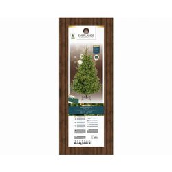 EVERLANDS Weihnachtsbaum Nordmann Tanne mit Beleuchtung 150 x 210 cm (Ø x H)