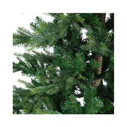 EVERLANDS Weihnachtsbaum Grandis Fir 250 x 450 cm (Ø x H)