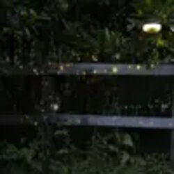 LUMINEO Solarleuchte Hängeleuchte mit ausziehbarer Lichterkette