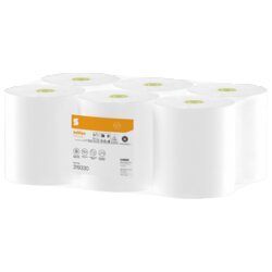 Satino by WEPA 319330 Satino Toilettenpapier Jumborolle 2lg hw 380m 6St