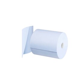 Satino by WEPA 319250 Satino Putzrolle HiCycle 2lg 1000Bl 2St