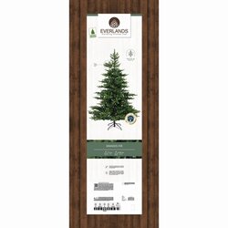EVERLANDS Weihnachtsbaum Grandis Fir 250 x 450 cm (Ø x H)