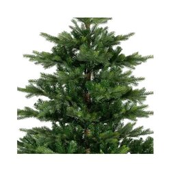 EVERLANDS Weihnachtsbaum Grandis Fir 250 x 450 cm (Ø x H)