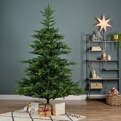 EVERLANDS Weihnachtsbaum Grandis Fir 250 x 450 cm (Ø x H)