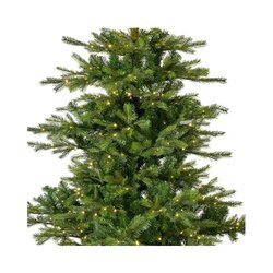 EVERLANDS Weihnachtsbaum Grandis Fir mit Beleuchtung 150 x 210 cm (Ø x H)