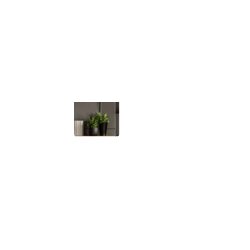 magnetoplan® Mobile Stativleinwand Pull-Up 180 x 135 cm (B x H)