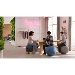 ALBA MHBALL B Alba Sitzball ergonomisch 65cm bl