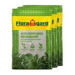 Floragard 134442 Floragard Gartenerde Aktiv Grünpflanzen & Palmen 3x10l