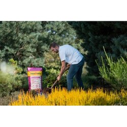 Floragard Gartenerde Rhodohum