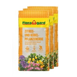 Floragard 134318 Floragard Blumenerde Zitrus & Kübel 3x18l