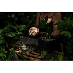 Floragard Pflanzensubstrat Green Jungle Mix