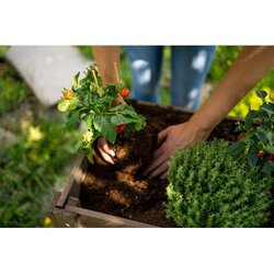 Floragard Hochbeet