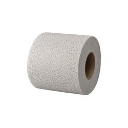Expect T2F250-RC60 Expect Toilettenpapier 2-lagig 8x250Blatt