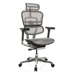 hjh OFFICE 652275 HJH Office Chefsessel ERGOHUMAN GEN2 Netz gr